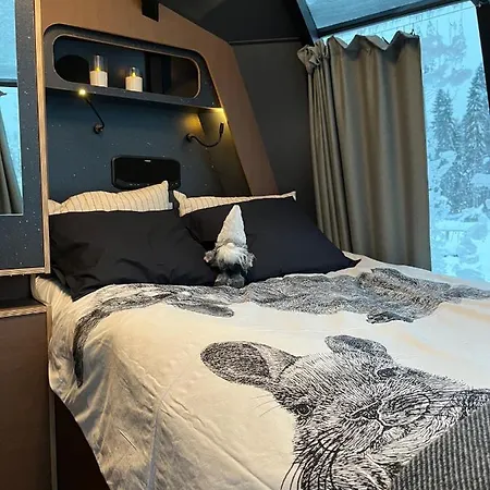 Apartament Vikajaervi View Experience Igloos