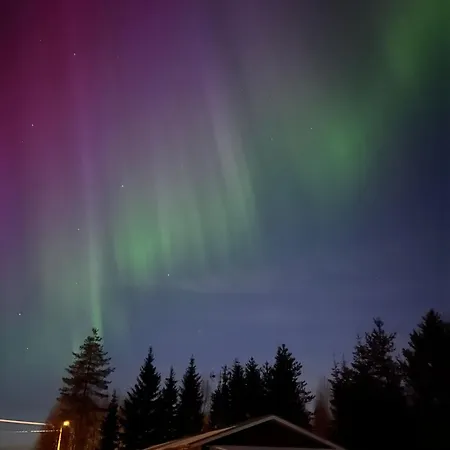 Vikajaervi View Experience Igloos 아파트 로바니에미