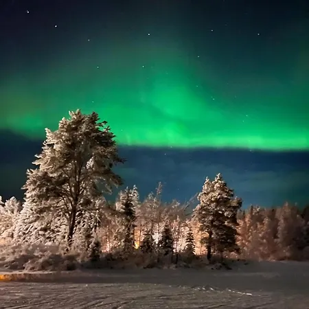 Vikajaervi View Experience Igloos * 로바니에미