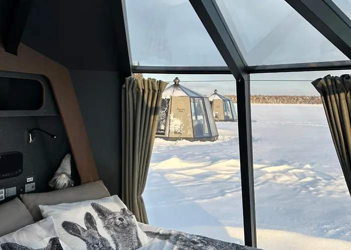 Vikajaervi View Experience Igloos